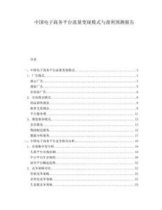 中國電子商務(wù)平臺流量變現(xiàn)模式與盈利預(yù)測報告