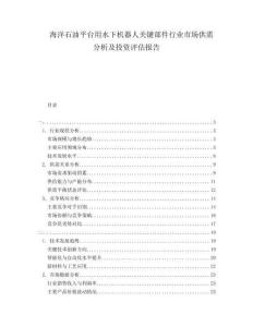 海洋石油平臺(tái)用水下機(jī)器人關(guān)鍵部件行業(yè)市場供需分析及投資評(píng)估報(bào)告