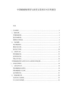 中國(guó)碳捕集利用與封存示范項(xiàng)目可行性報(bào)告