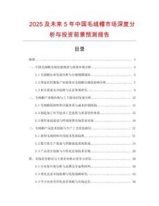 2025及未來5年中國毛絨帽市場深度分析與投資前景預測報告