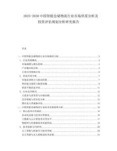 2025-2030中國智能倉儲物流行業(yè)市場供需分析及投資評估規(guī)劃分析研究報告
