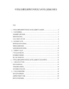 中國運動腰包儲物空間優化與時尚元素融合報告