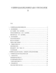 中國燃料電池電堆技術(shù)路線與成本下降空間分析報告