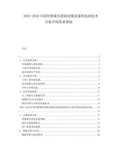 2025-2030中國智慧城市基礎(chǔ)設(shè)施設(shè)備制造商技術(shù)方案市場需求規(guī)劃