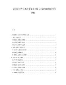 碳捕集封存技術政策支持力度與示范項目投資回報分析