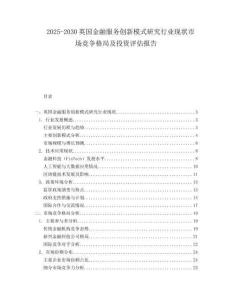 2025-2030英國金融服務(wù)創(chuàng)新模式研究行業(yè)現(xiàn)狀市場競爭格局及投資評估報告