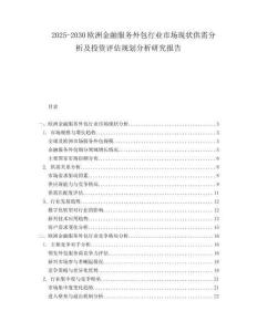 2025-2030歐洲金融服務(wù)外包行業(yè)市場現(xiàn)狀供需分析及投資評估規(guī)劃分析研究報告