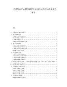 光伏發(fā)電產業(yè)精準研究及并網技術與市場競爭研究報告