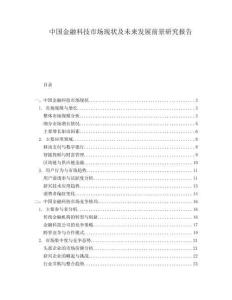 中國(guó)金融科技市場(chǎng)現(xiàn)狀及未來(lái)發(fā)展前景研究報(bào)告
