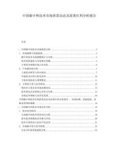 中國碳中和技術(shù)市場(chǎng)供需動(dòng)態(tài)及政策紅利分析報(bào)告
