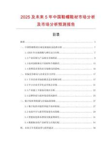2025及未來5年中國鞋帽鞋材市場分析及市場分析預測報告