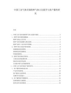中國(guó)工業(yè)氣體市場(chǎng)特種氣體占比提升與客戶黏性研究
