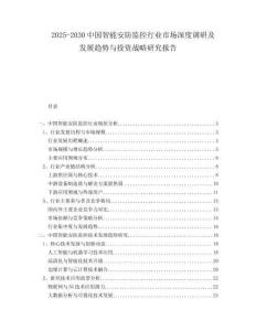 2025-2030中國智能安防監(jiān)控行業(yè)市場深度調(diào)研及發(fā)展趨勢與投資戰(zhàn)略研究報告