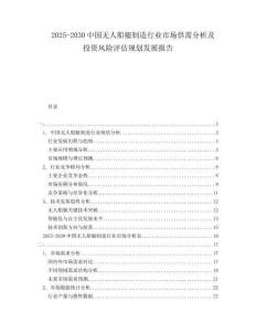2025-2030中國(guó)無人船艇制造行業(yè)市場(chǎng)供需分析及投資風(fēng)險(xiǎn)評(píng)估規(guī)劃發(fā)展報(bào)告