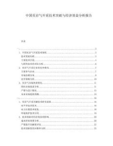 中國(guó)頁(yè)巖氣開(kāi)采技術(shù)突破與經(jīng)濟(jì)效益分析報(bào)告