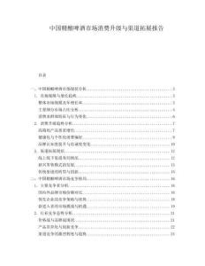 中國精釀啤酒市場消費升級與渠道拓展報告