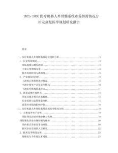 2025-2030醫(yī)療機(jī)器人外骨骼系統(tǒng)市場(chǎng)供需情況分析及康復(fù)醫(yī)學(xué)規(guī)劃研究報(bào)告