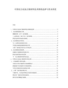 中國動力電池正極材料技術(shù)路線選擇與資本熱度