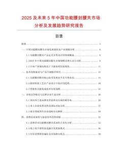 2025及未來5年中國功能腰封腰夾市場分析及發(fā)展趨勢研究報告