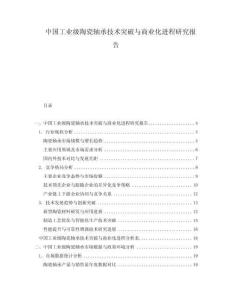 中國工業(yè)級陶瓷軸承技術(shù)突破與商業(yè)化進(jìn)程研究報告