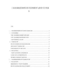 工商業儲能系統峰谷價差套利模型與投資可行性報告