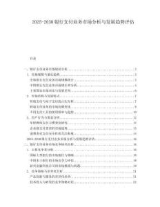 2025-2030銀行支付業(yè)務(wù)市場分析與發(fā)展趨勢評估
