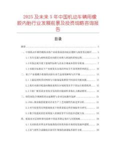 2025及未來5年中國機動車輛用橡膠內胎行業發展前景及投資戰略咨詢報告