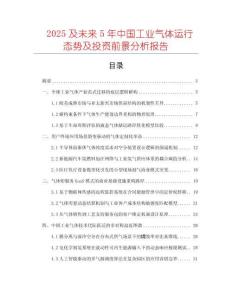 2025及未來5年中國工業(yè)氣體運(yùn)行態(tài)勢及投資前景分析報(bào)告