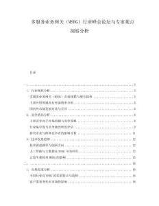 多服務(wù)業(yè)務(wù)網(wǎng)關(guān)（MSBG）行業(yè)峰會(huì)論壇與專家觀點(diǎn)洞察分析