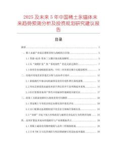2025及未來5年中國稀土永磁體未來趨勢預(yù)測分析及投資規(guī)劃研究建議報(bào)告