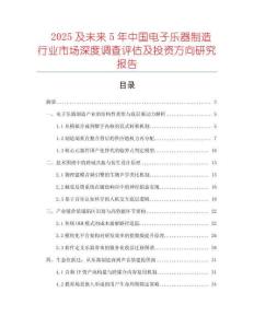 2025及未來5年中國電子樂器制造行業市場深度調查評估及投資方向研究報告