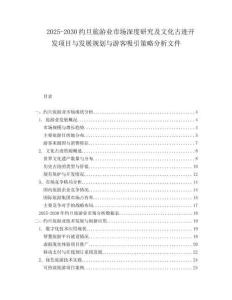 2025-2030約旦旅游業(yè)市場深度研究及文化古跡開發(fā)項(xiàng)目與發(fā)展規(guī)劃與游客吸引策略分析文件