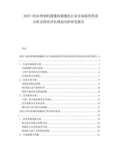 2025-2030照相機攝像機攝像機行業市場現狀供需分析及投資評估規劃分析研究報告