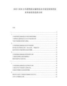2025-2030吉布提物流運輸制造業市場發展現狀技術革新投資趨勢分析
