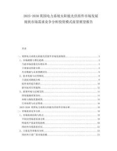 2025-2030英國電力系統(tǒng)太陽能光伏組件市場發(fā)展現(xiàn)狀市場需求競爭分析投資模式前景展望報(bào)告