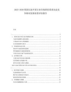 2025-2030英國石油開采行業市場供給需求動態競爭格局發展前景評估報告