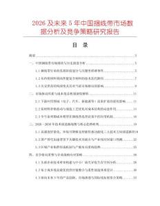 2026及未來(lái)5年中國(guó)捆線帶市場(chǎng)數(shù)據(jù)分析及競(jìng)爭(zhēng)策略研究報(bào)告