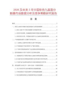 2026及未來5年中國彩色九畫面分割器市場數據分析及競爭策略研究報告