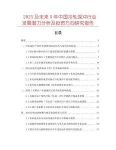 2025及未來5年中國冷軋深沖行業發展潛力分析及投資方向研究報告