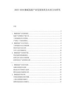 2025-2030挪威氫能產(chǎn)業(yè)發(fā)展現(xiàn)狀及未來方向研究