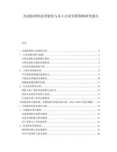 光刻膠材料技術(shù)壁壘與本土企業(yè)突圍策略研究報告