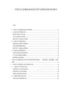中國元宇宙概念商業(yè)化應(yīng)用與投資價值評估報告