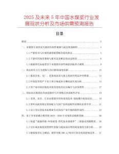 2025及未來5年中國水煤漿行業(yè)發(fā)展現(xiàn)狀分析及市場供需預(yù)測報告