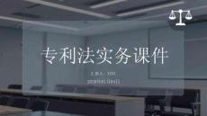 專利法實(shí)務(wù)課件