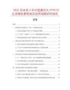 2025及未來5年中國激光頭(PUH)行業(yè)發(fā)展前景預(yù)測及投資戰(zhàn)略研究報告