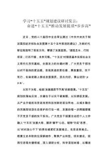 學習“十五五”規劃建議研討發言：奮進“十五五”推動發展提質“步步高”