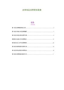 皮革制品消費群體畫像-剖析洞察