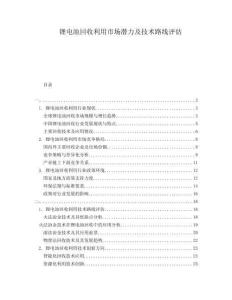 鋰電池回收利用市場(chǎng)潛力及技術(shù)路線評(píng)估