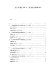 考古現(xiàn)場發(fā)掘機器人無損提取技術報告