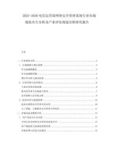 2025-2030電信運(yùn)營商網(wǎng)絡(luò)安全管理系統(tǒng)行業(yè)市場現(xiàn)狀共生分析及產(chǎn)業(yè)評(píng)估規(guī)劃分析研究報(bào)告